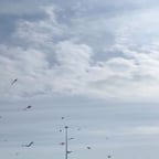 Спокойный Мужской Голос