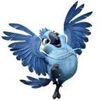 CARLA_RIO 2_ESPAÑOL LATINO_PELICULA RIO 2