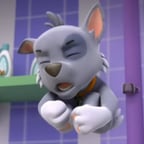Rocky [Paw Patrol, Español Latino 🇨🇱 ]