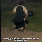 進哥视频的音色