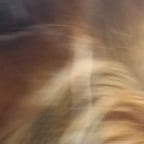 Jovem Casual Português