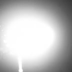 テストテスト2号