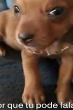 Voz Jovem Expressiva