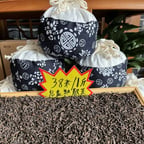 2月11一起来品茶