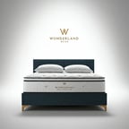 صوت امراء ليبيا