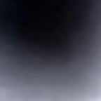 Authentische Deutsche Stimme