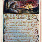 Молодая Женщина