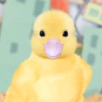 Ming-Ming (Danica Lee)