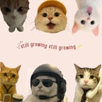 Penyiar Promo Enerjik