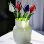 Clear Professional Male