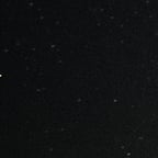 985女的讲话演说家