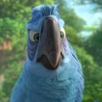 EDUARDO RIO 2_SOY PAPA DE PERLA_PELICULA DE RIO 2