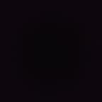 Cutesy Wutesy Poochie -- Playful Dog Singer