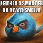 Locutor Cartoon Network LA (CHECK IT 1.0/3.0)