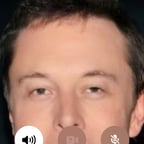 Elon reeve musk