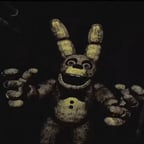 Springbonnie 