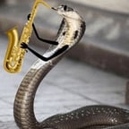 Playful Animated Speaker