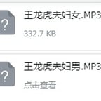 王龙虎夫妇男