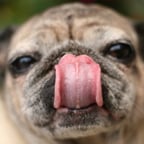 丁寧な解説男性