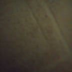 No Bone Unturned -- Gravelly Storyteller