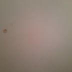 المذيعة العربية الواثقة