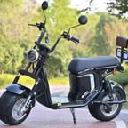 Voz Clara e Profissional