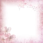 Friendly African Conversationalist