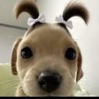 Esnaider pollito papas