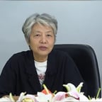 黑衣人贩子白发凶女人