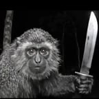 Sou o amigo do vida lascada 😃