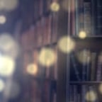 Narrador Sereno Español