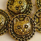 Clear Explainer Voice