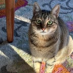 Taylor Swift Singing