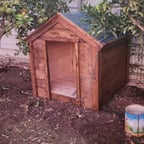 عبد الحي جوبان