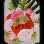 Calm Measured Narrator