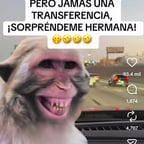 Voz de Locutor Profesional