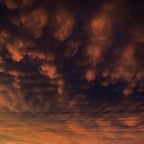 Animated Young Female