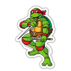 RAPHAEL TMNT