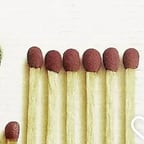 Universal matured voice 