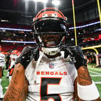 Professional Athlete