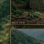 भावुक हिंदी स्वर