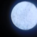 Friendly Young Narrator