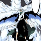 Toshiro hitsugaya 