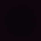 Dang Ol' Right -- Playful Poodle Pal