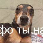 Женский Голос