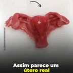 Mariza voz saudável 