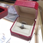 Energetic Friendly Female