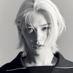 FELIX skz
