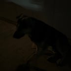 Narrador Reflexivo Masculino