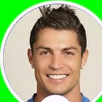 Deutsche Sportstimme